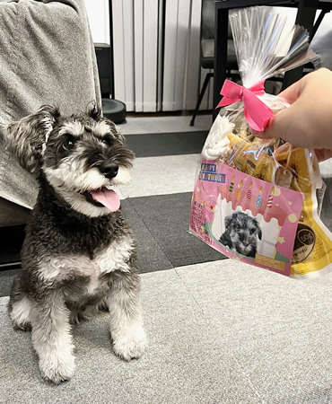 28愛犬自慢