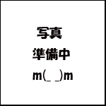 _ސɋ߂c̃u[_[KAKOŐ܂ꂽqV[Y[